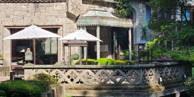 Bosque 6060: Naturaleza, Exclusividad y Confort en el Sur de la CDMX
